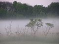 2009 Eagles Nest Mission Trip 015.jpg